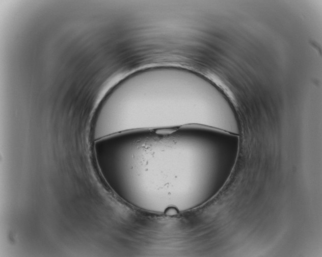 X0000096201085200801181026