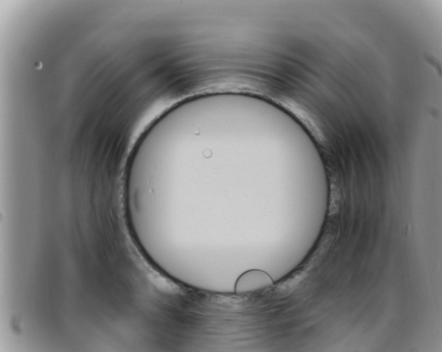 X0000096201086200801181026