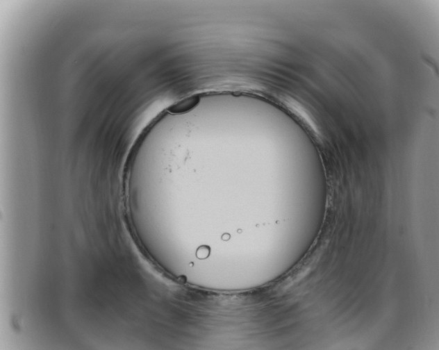 X0000096201087200801181026