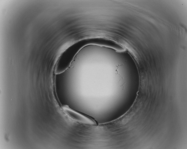 X0000096201088200801181026