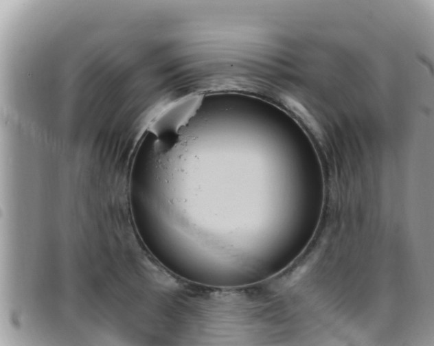 X0000096201089200801181025