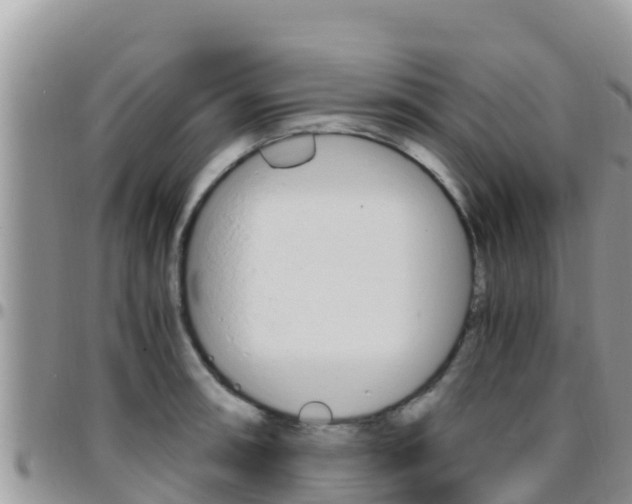 X0000096201090200801181025