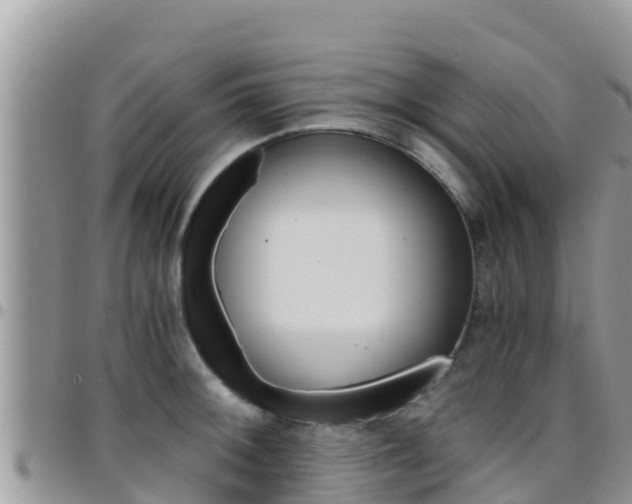 X0000096201092200801181025