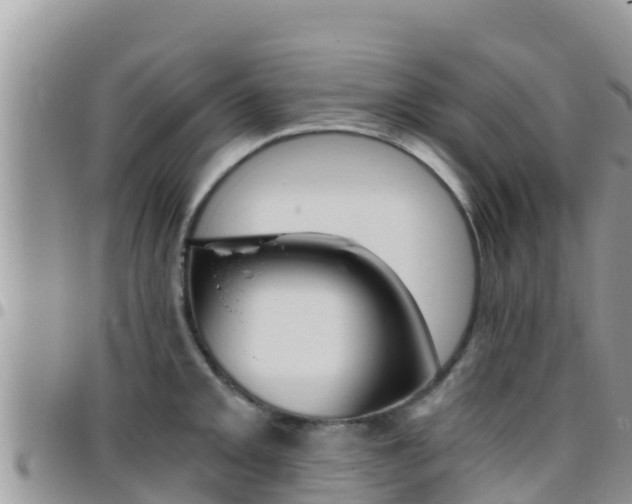 X0000096201093200801181025
