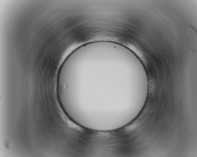 X0000096201094200801181025
