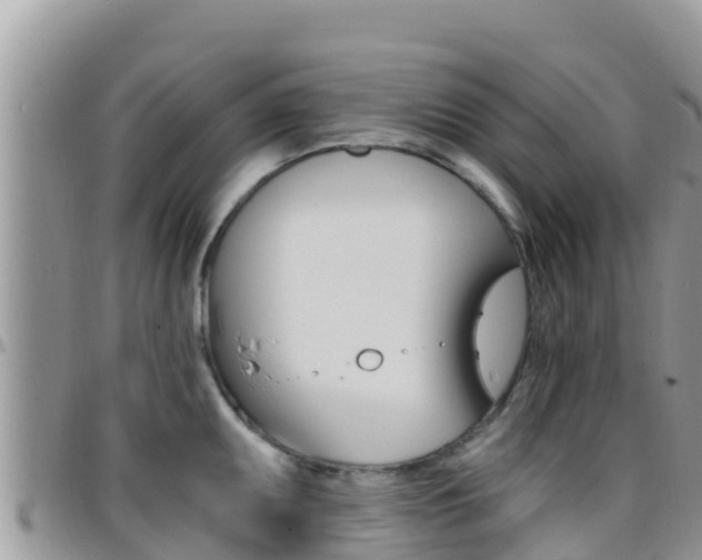 X0000096201095200801181025