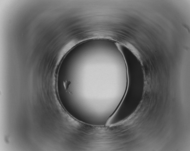 X0000096201096200801181025