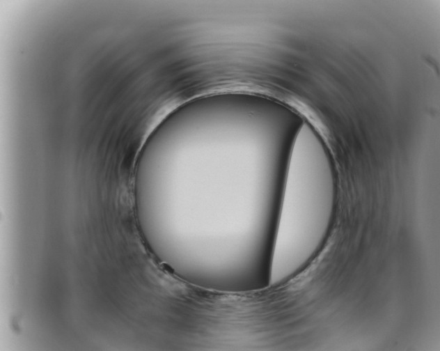 X0000096201097200801181025