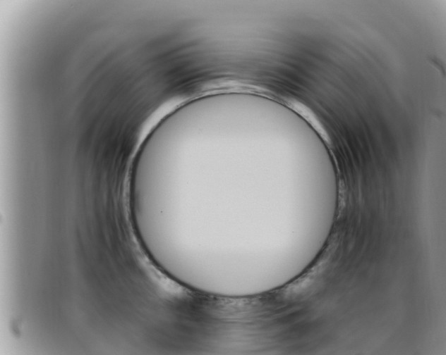 X0000096201098200801181025