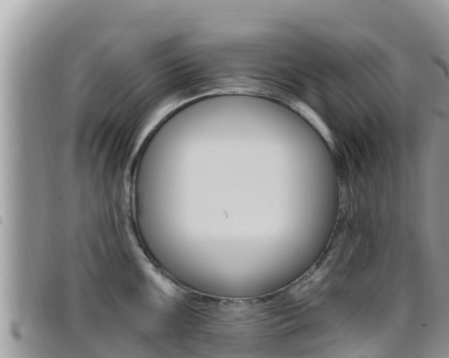 X0000096201099200801181025