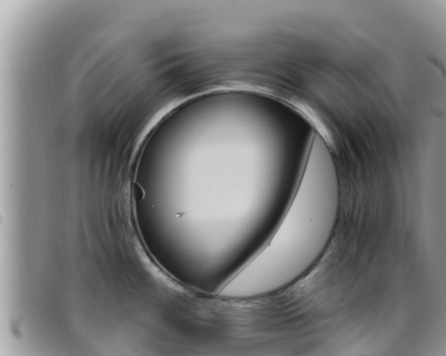 X0000096201100200801181025