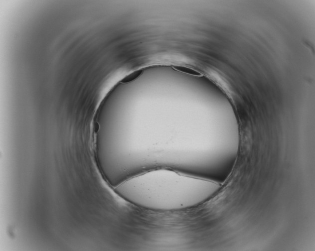 X0000096201103200801181025
