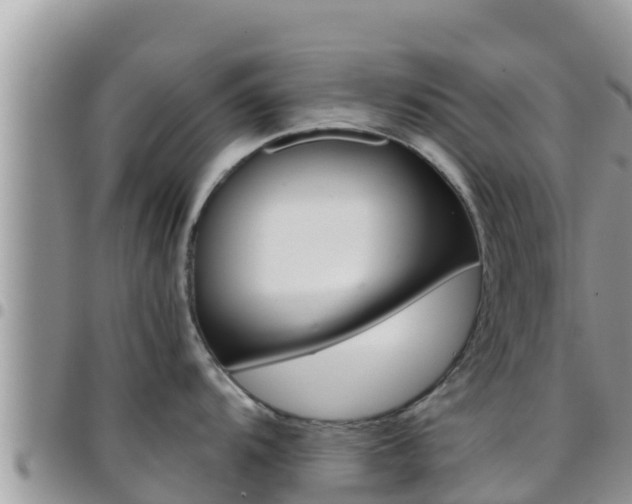 X0000096201104200801181025