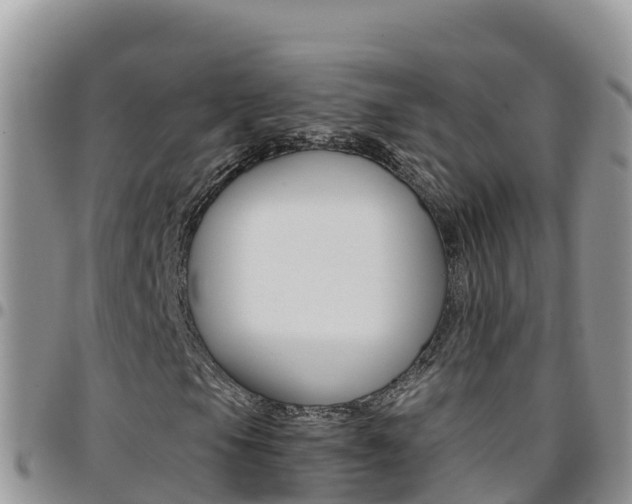 X0000096201105200801181025