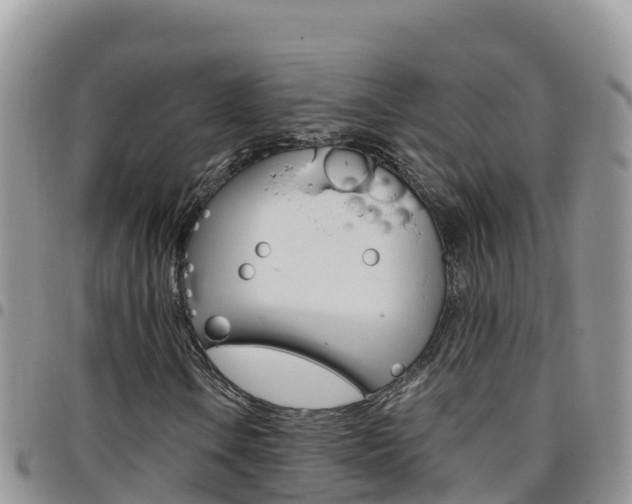 X0000096201106200801181025