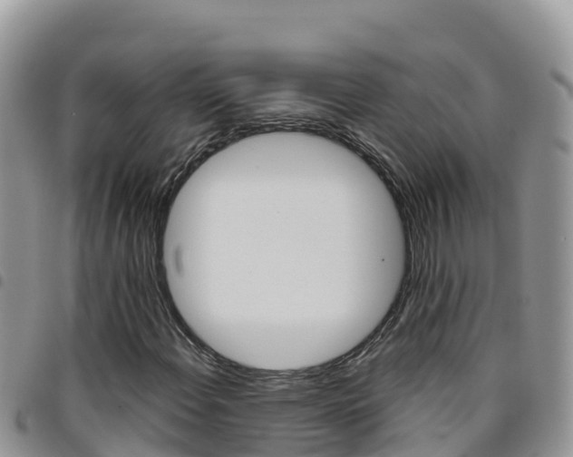 X0000096201108200801181025
