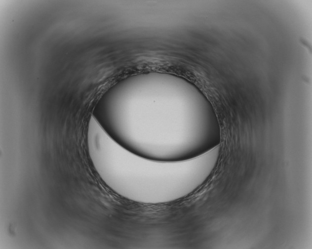 X0000096201109200801181025