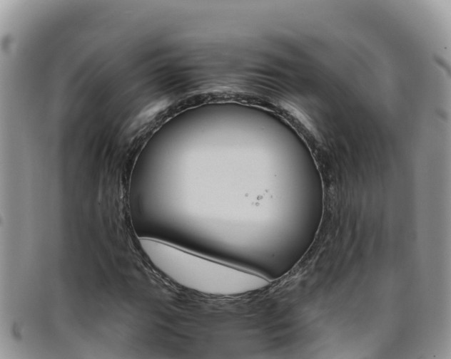 X0000096201111200801181025