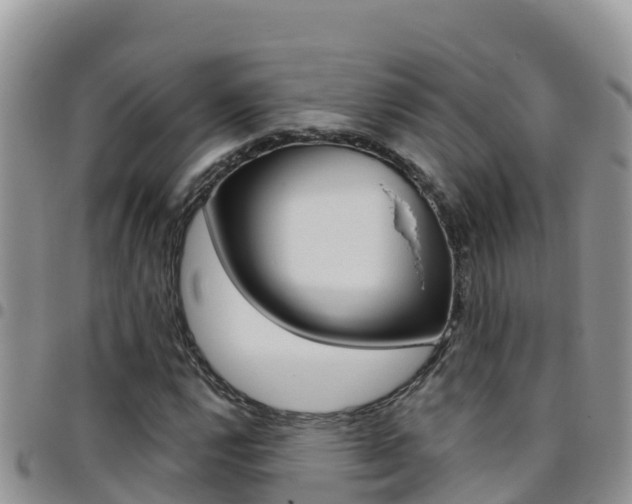 X0000096201112200801181025