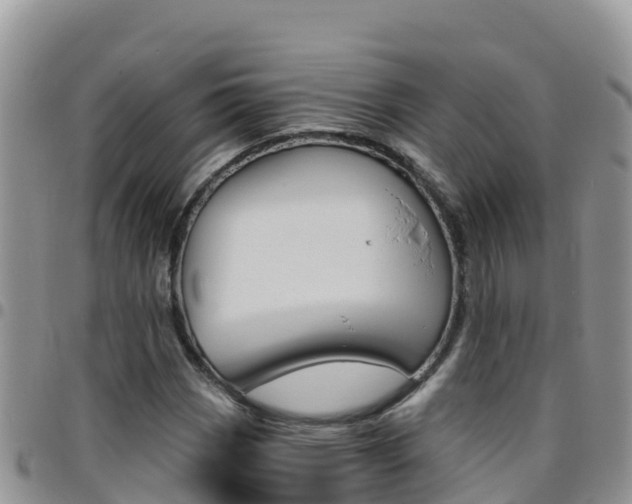 X0000096201113200801181025
