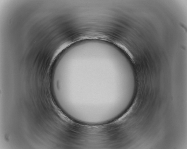 X0000096201114200801181025