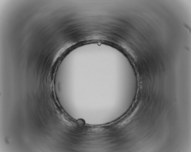 X0000096201117200801181025