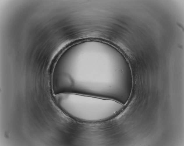 X0000096201118200801181025