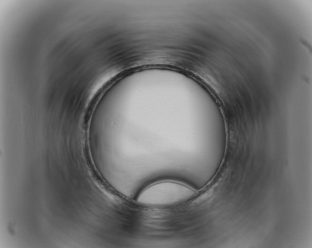 X0000096201119200801181025