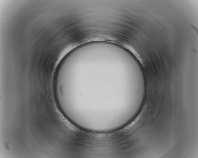 X0000096201122200801181025
