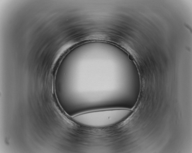 X0000096201123200801181025