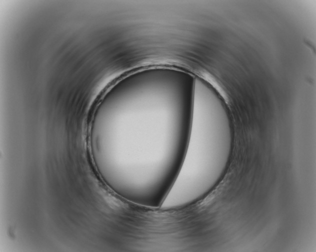 X0000096201124200801181025