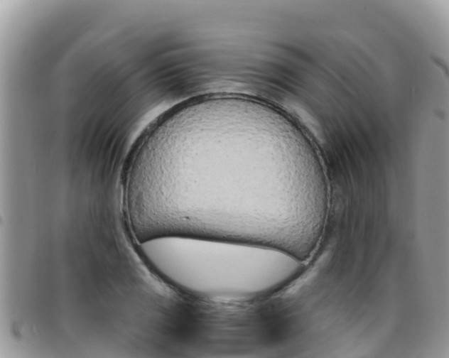X0000096201125200801181025