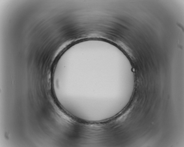 X0000096201126200801181025