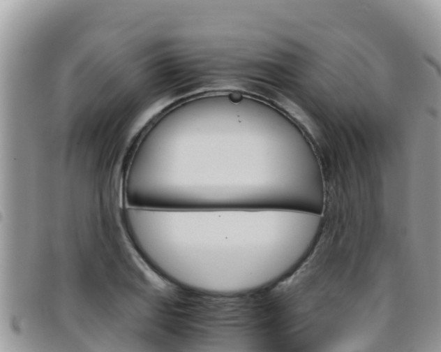 X0000096201127200801181025