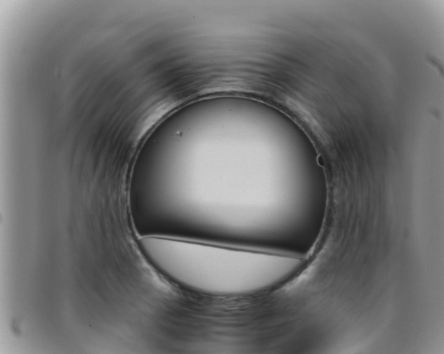X0000096201129200801181025