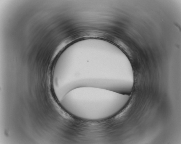 X0000096201130200801181025