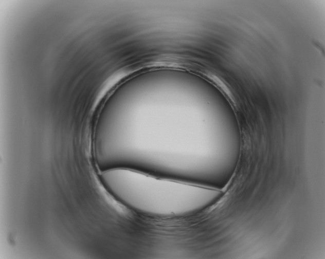 X0000096201131200801181025