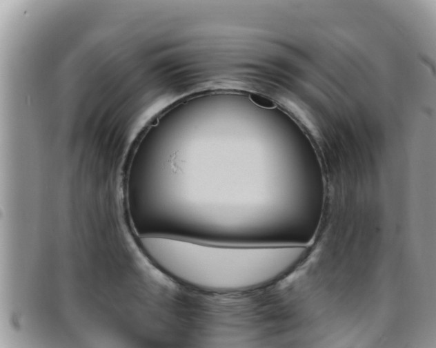 X0000096201133200801181025