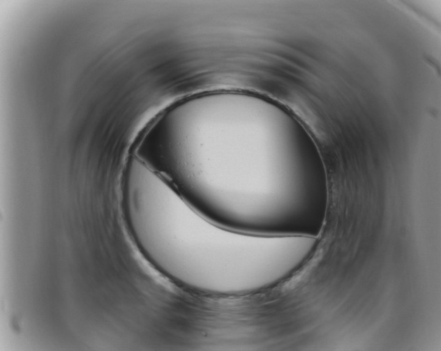 X0000096201134200801181025