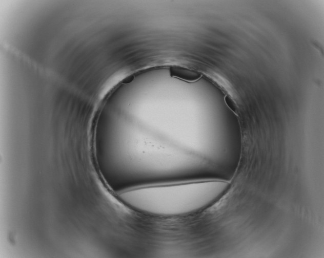 X0000096201135200801181025