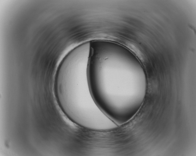 X0000096201136200801181025