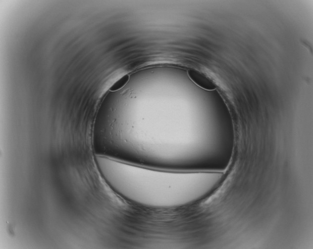 X0000096201137200801181025