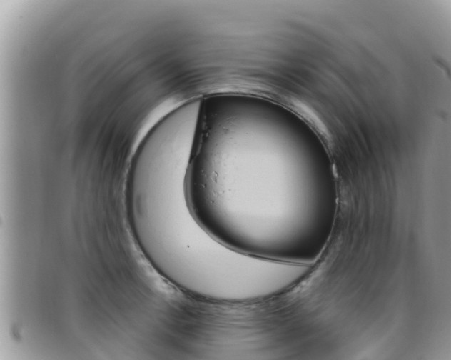 X0000096201138200801181025