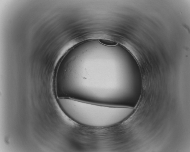 X0000096201139200801181025