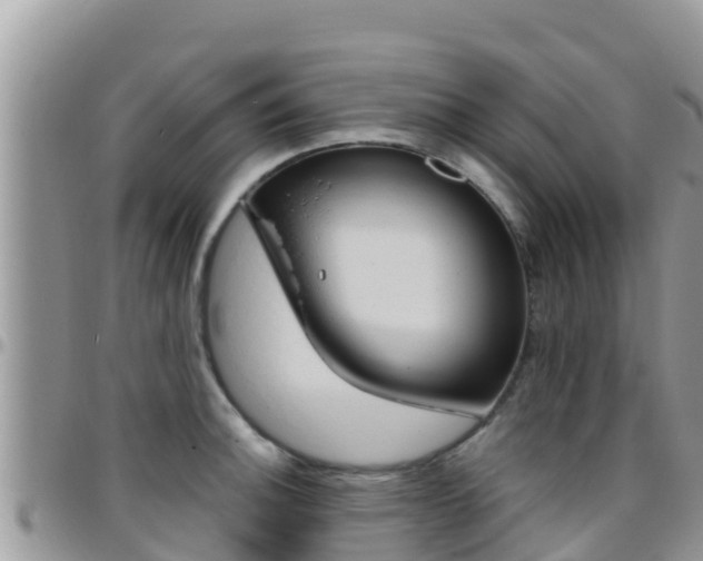 X0000096201140200801181025
