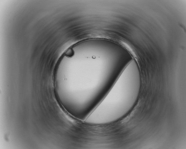 X0000096201141200801181025