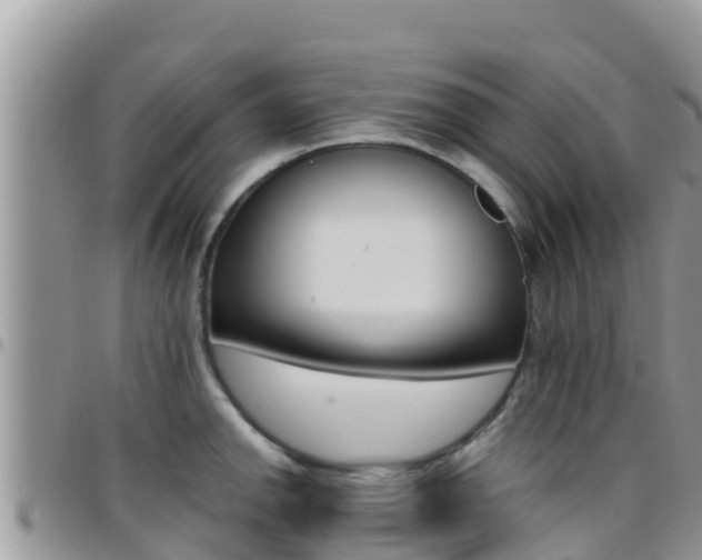 X0000096201142200801181025