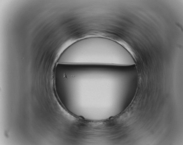 X0000096201143200801181025