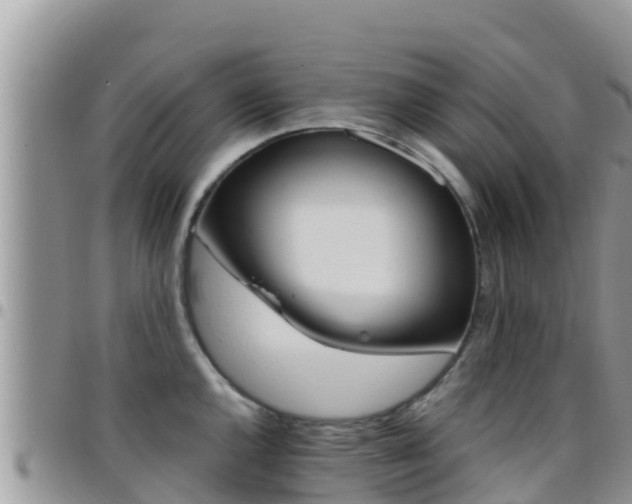 X0000096201144200801181025