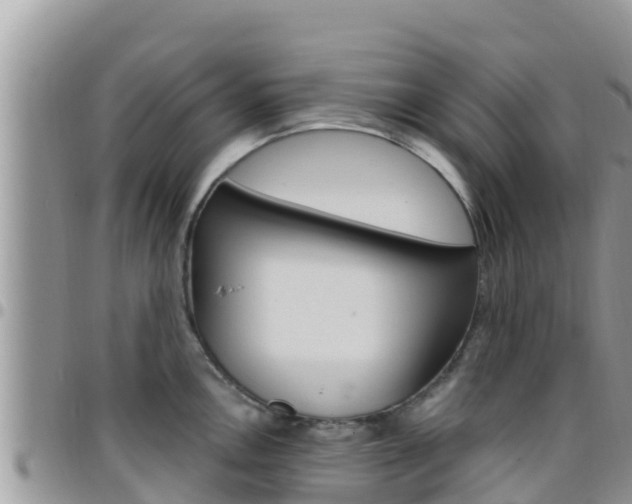 X0000096201146200801181025